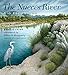 The Nueces River: Río Escondido (River Books, Sponsored by The Meadows Center for Water and the Environment, Texa)