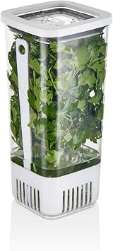 Vip Ahmet Kare Greenery Storage Container, 1700 ml