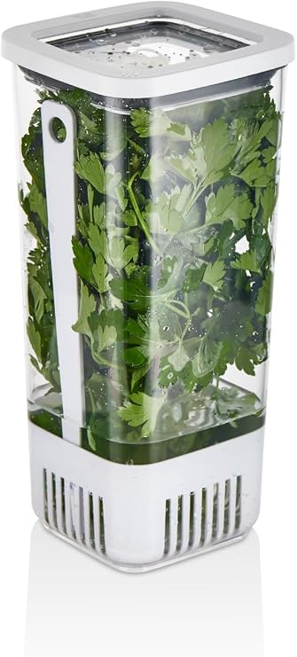 Vip Ahmet Kare Greenery Storage Container, 1700 ml