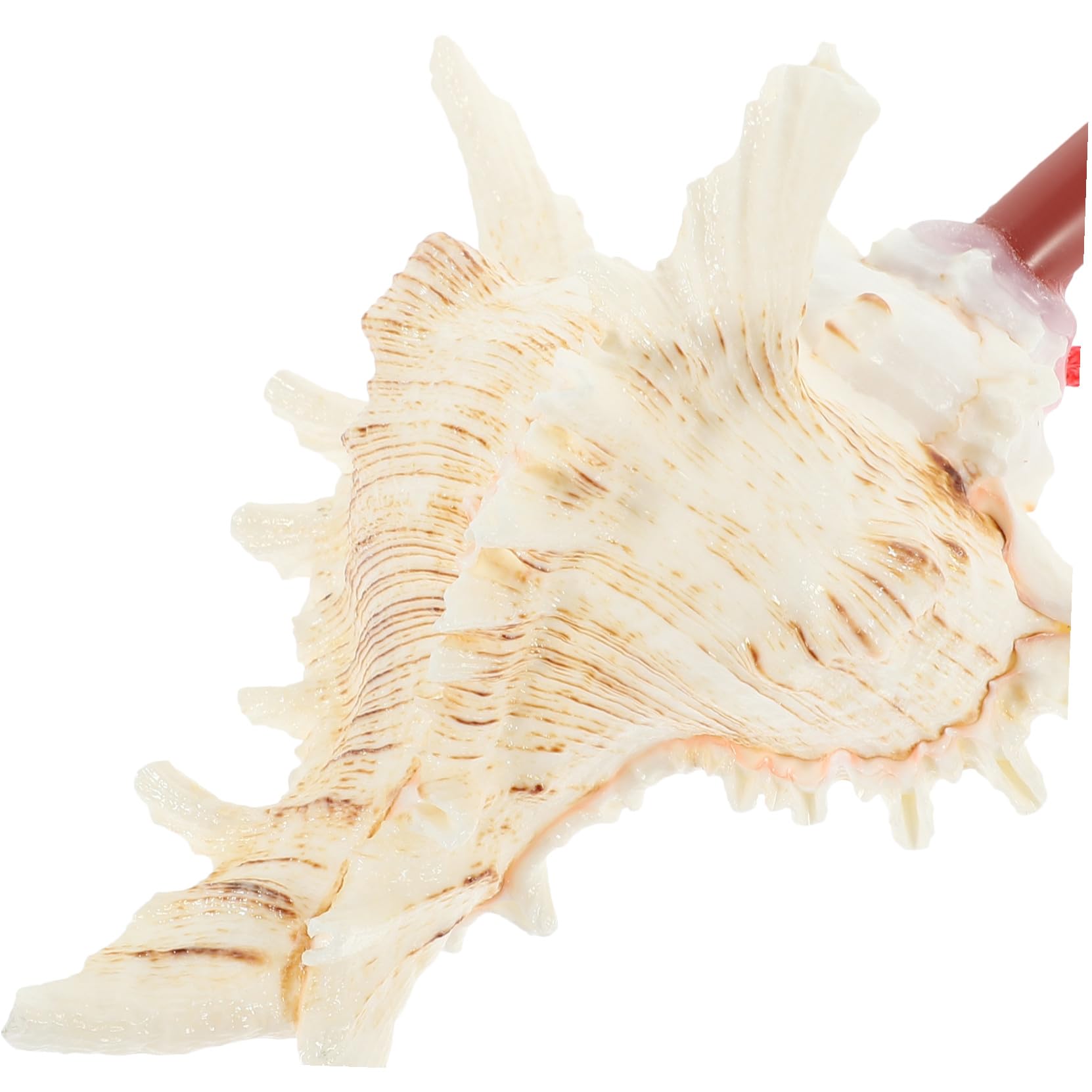 PLAFOPE Colgante de Silbato de Caracola para Niños Borde Suave y Delicado, 10 Piezas de Conchas Auténticas para Celebraciones y Ocasiones Obsequios