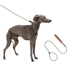 Dog Leash with Collar, 150 cm, Training, Small Dogs, Medium Dogs, Large Dogs, Collars, Pet Goods, Dog Supplies, Training, Stylish, Rope, Pulling Prevention, Firm, Cord Thickness 0.3 inches 0.7 cm,