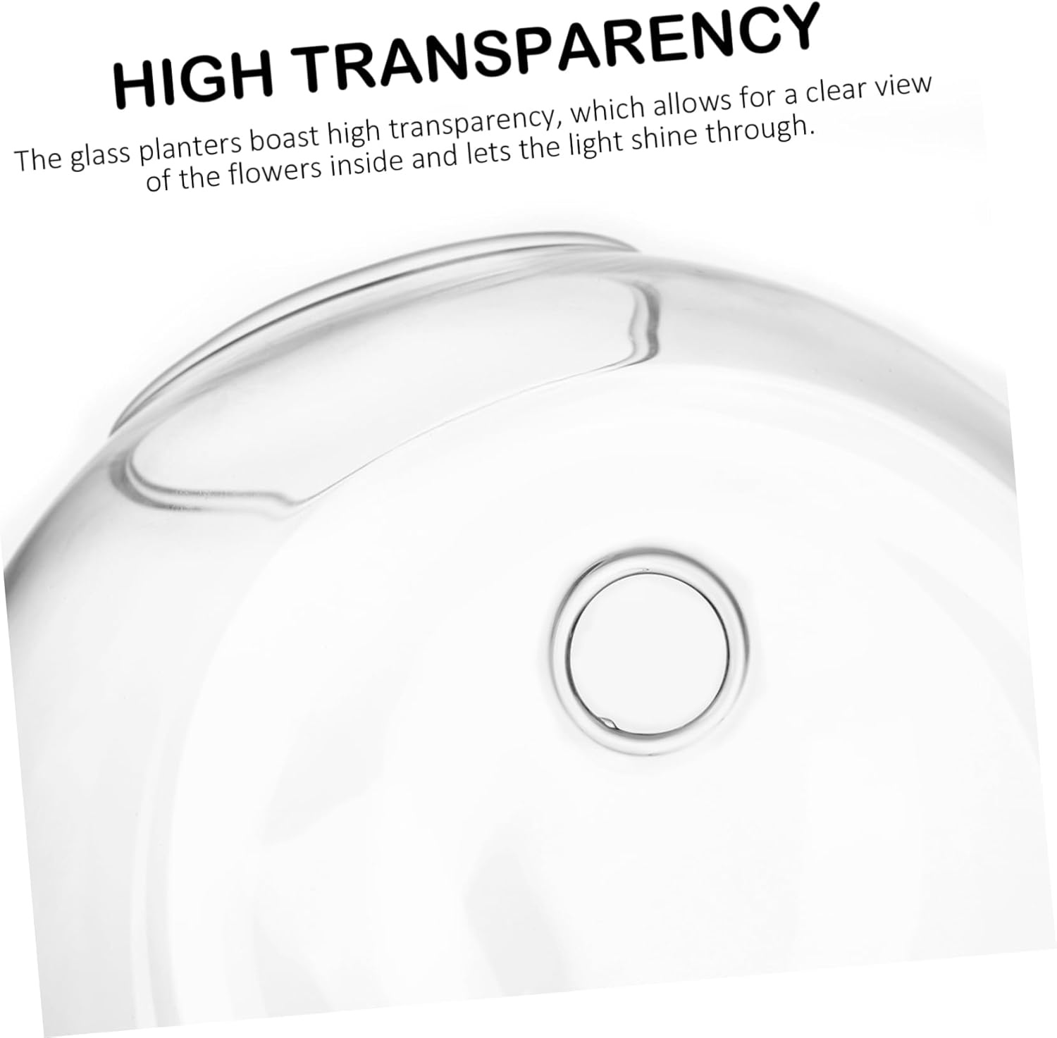 Healifty 4pcs Wall Mount Glass Planters Round Propagation Stations for Indoor Hanging Terrariums Succulent Holders Home Office Living Room Decor