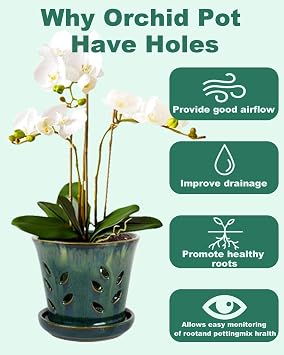 vensovo 5.5 Inch Ceramic Orchid Pot - Orchid Pot with Holes for Repotting, Ceramic Planter with Saucer for Indoor/Outdoor Plants, Green