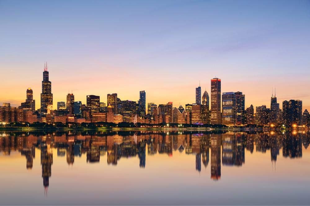 Wallmonkeys Chicago Skyline Wall Mural Peel and Stick Vinyl Graphic (36 in W x 24 in H) WM525421
