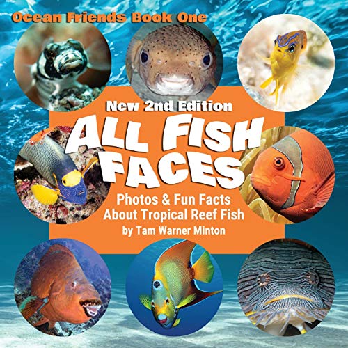 All Fish Faces: Photos and Fun Facts about Tropical Reef Fish (Ocean Friends) All Fish Faces: Photos and Fun Facts about Tropical Reef Fish (Ocean Friends)