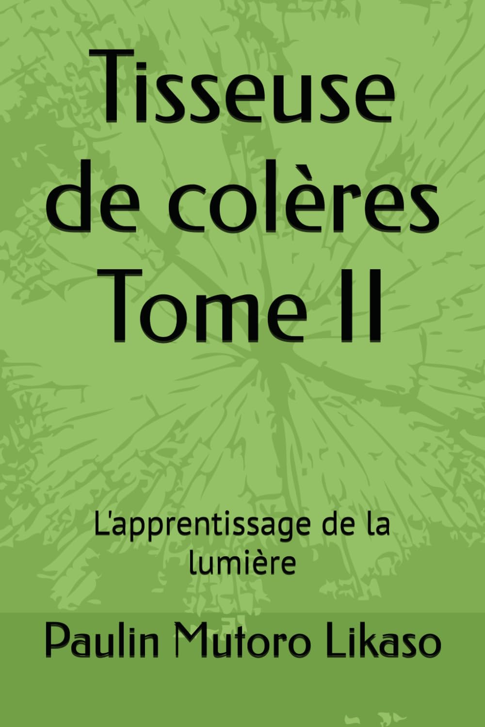 Tisseuse de colères Tome II: L'apprentissage de la lumière