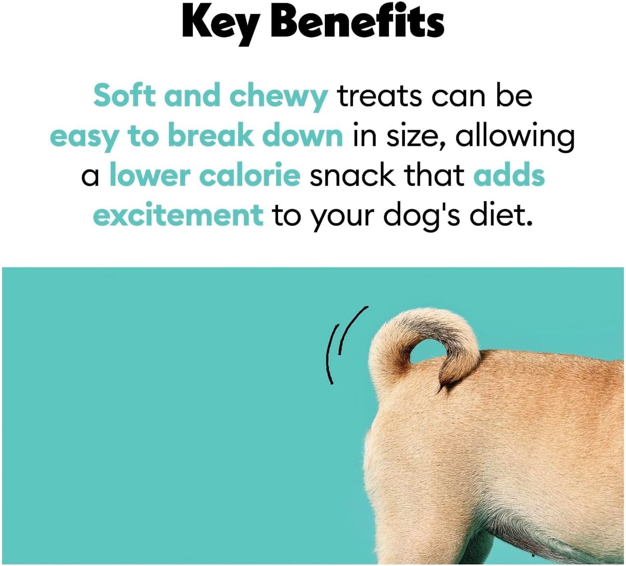Wiggles & Wags Meaty Strips Dog Treats, Salmon Flavor, 16 oz with DN Essentials Bone Shaped Waste Bag Dispenser & Free Roll