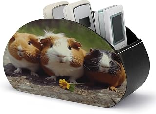 Personalized PU Leather Remote Control Holder with 5 Compartments | Guinea Pigs Funny TV Remote Caddy Storage Box, Desktop Organizer for Media Player Glasses Pen Office Supplies