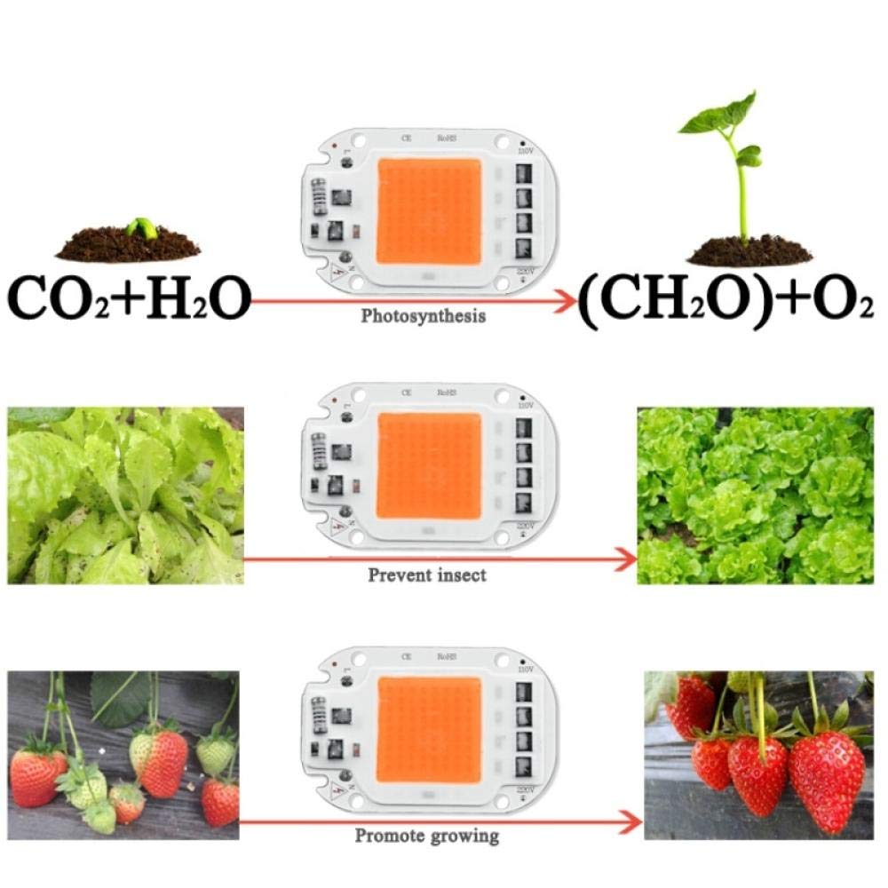 Plaque LED COB 50W 220V - Pour Création Projecteur Ou éclairage DIY, Neuf