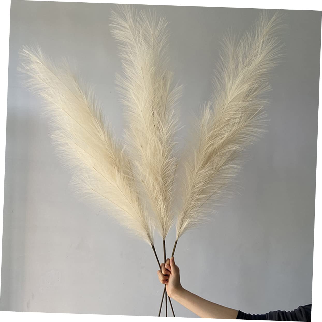 Alipis 5 Sätze Künstliche Pampas Stängel Hohe Für Hochzeit Und Zuhause Langlebig Realistisch Aus Hochwertigem Material Für Fotohintergründe Und Feierlichkeiten 2 Stücke * 5