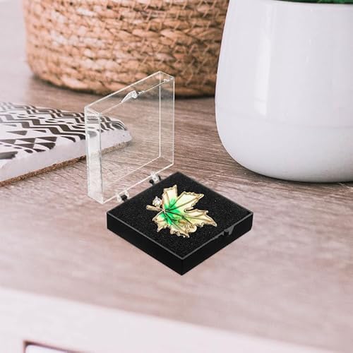 PRETYZOOM 6er-box Vitrine Mini-klarsicht-schmuckschatulle Etui Für Broschennadeln Medaillen-schattenbox Edelstein-schaukasten Rock-organizer-box Anstecknadelbox Revers Abs Dornschließe