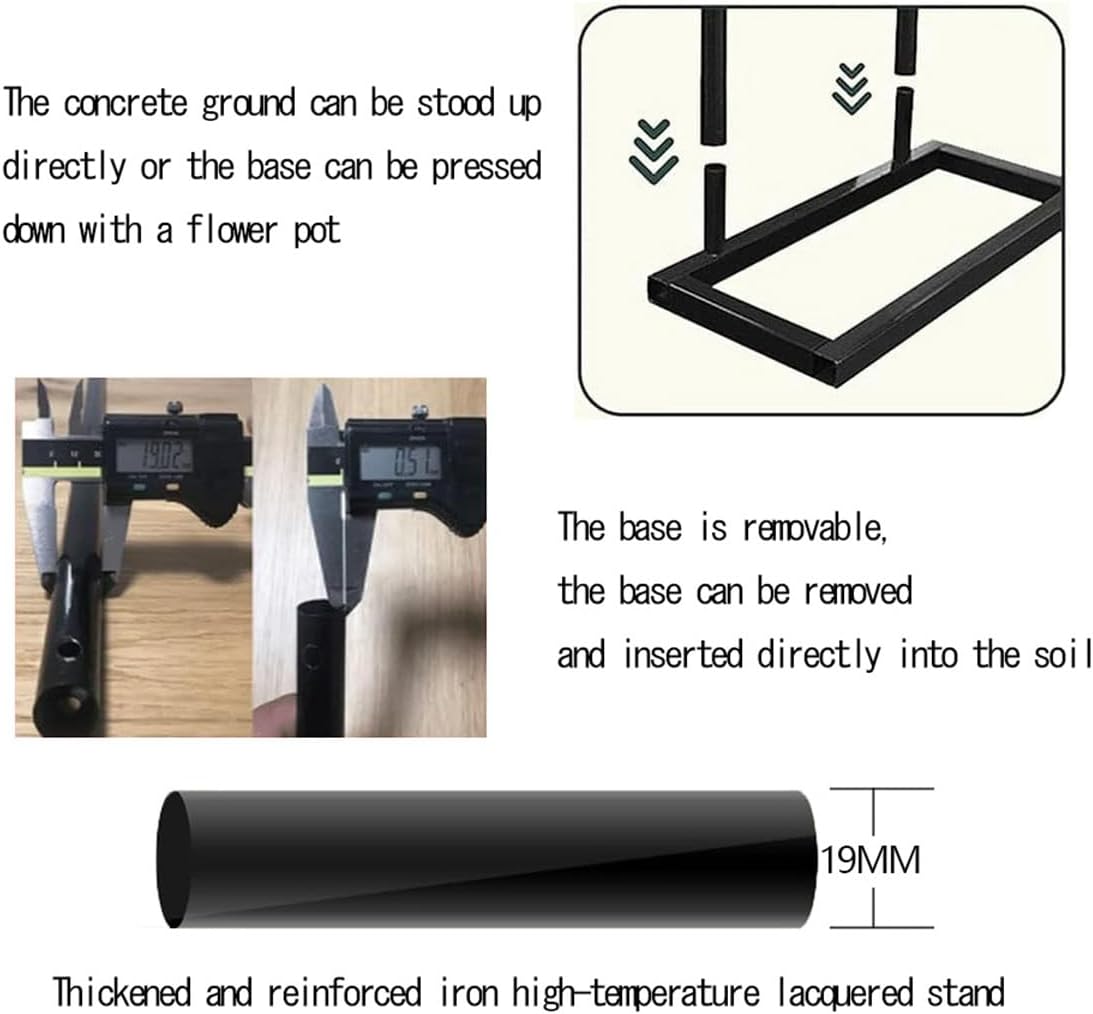 貝殻 ブランデーガイ 126mm 大型サイズ 極美品 貝 標本 貝殻 巻貝 2026