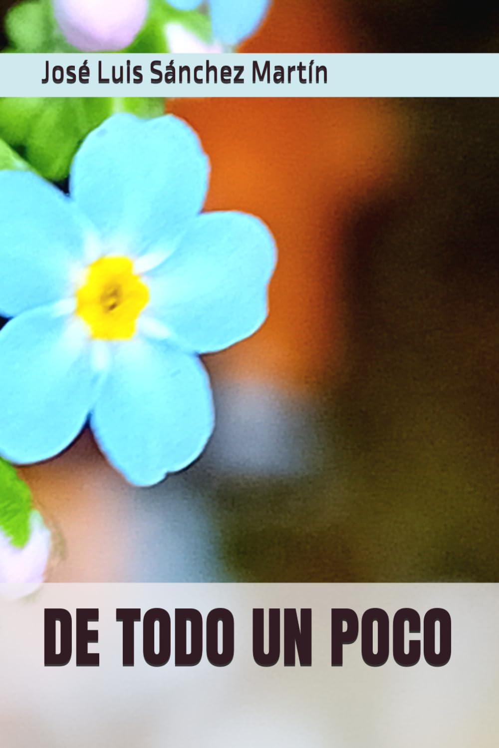 DE TODO UN POCO (POESÍA)