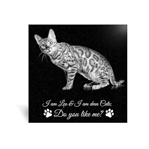 ADFSTONE Piedras conmemorativas para Mascotas, Regalos Personalizados de Recuerdo de Perro