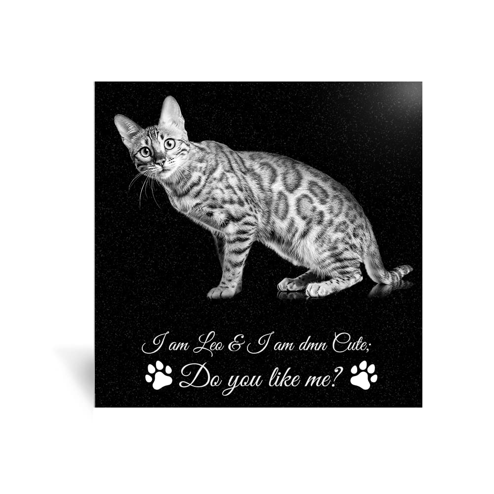 ADFSTONE Pet Memorial Stones Personalized Dog Remembrance Gifts, Customized Cat Picture Grieving Plaque, DIY Gravestone, Custom Sympathy Photo Gift, Animal Grave Markers, Little Tombstones