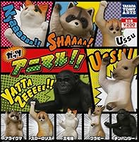 ニャアアア！ ネコたちがドヤ顔で拳を突き上げるミニフィギュア