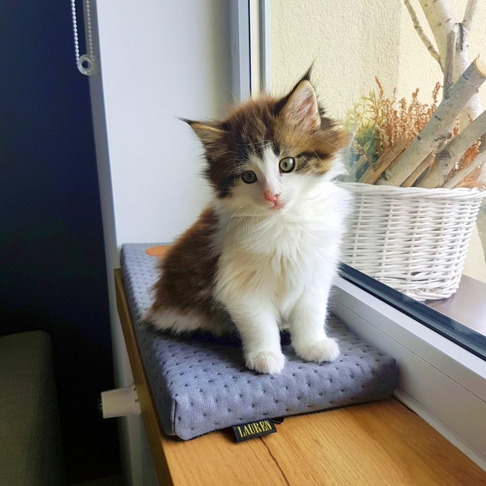 Prime, lettino da finestra per gatti, davanzale con retro antiscivolo, 50 x 20 cm, realizzato in Unione europea (grigio trapuntato, 50 x 20 x 3 cm)