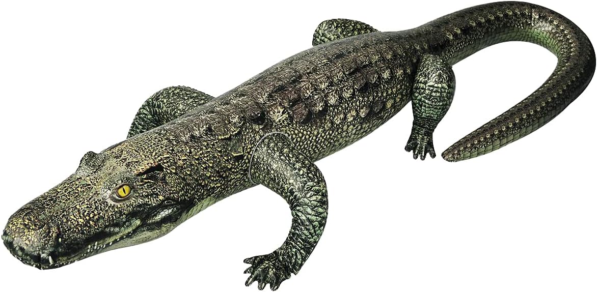 Jet Creations Life on Earth Wildlife Safari Inflatable, 3-PK, Kangaroo, Kiwi Bird, Alligator, Realistic Animals for Party Decoration, Pool, Birthday, Jungle Photo Prop