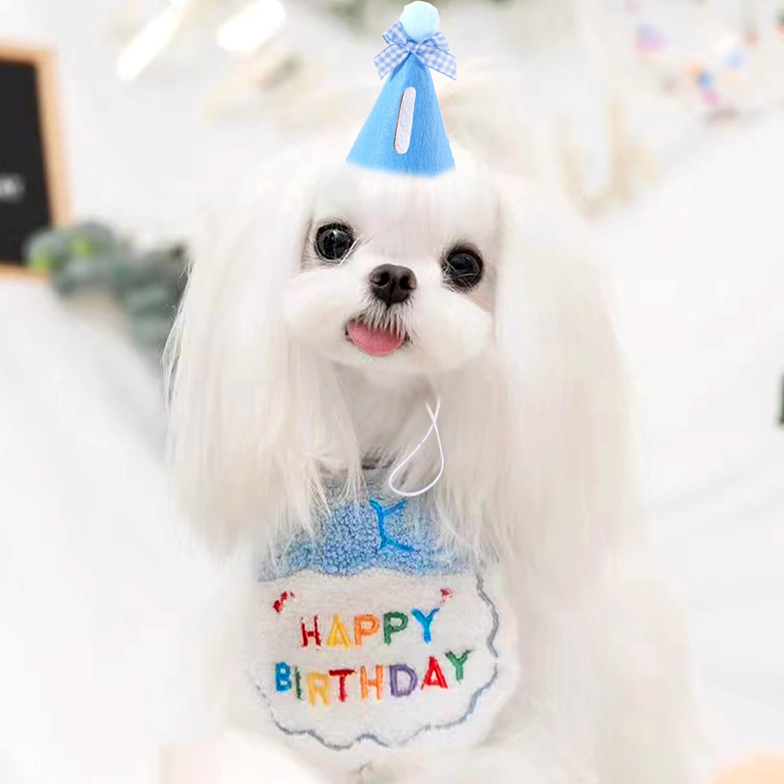 Amazon | 犬 誕生日 帽子 犬 猫用 誕生日グッズ 誕生日帽子 3点セット  