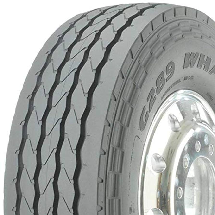 Amazon.com: GOODYEAR 315/80R225 L G289 WHA TL : Automotive