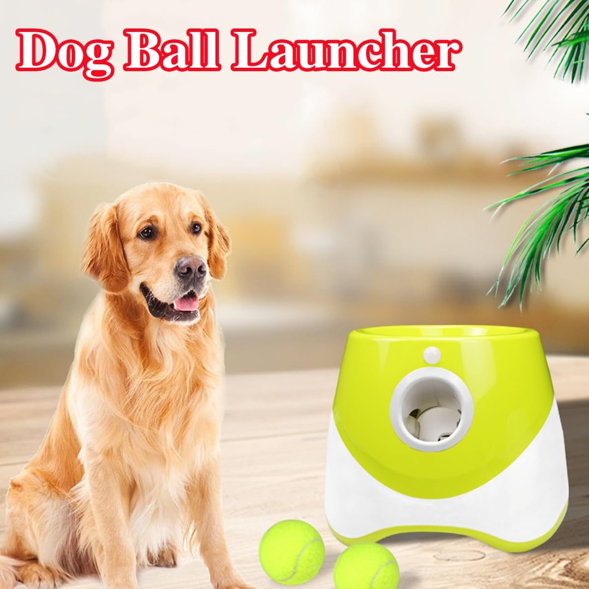 Dog Ball Launcher, 3 Distance Adjustmentsdes, Dog Ball Thrower Launcher for Small Dogs, with 6 Tennis Balls (D)