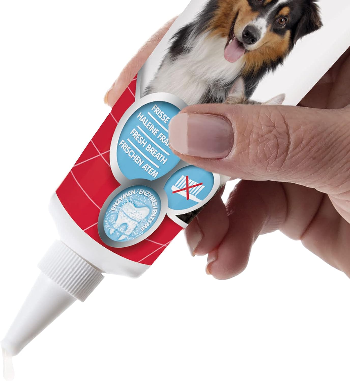 Beaphar Tooth Gel 100g BigaMart