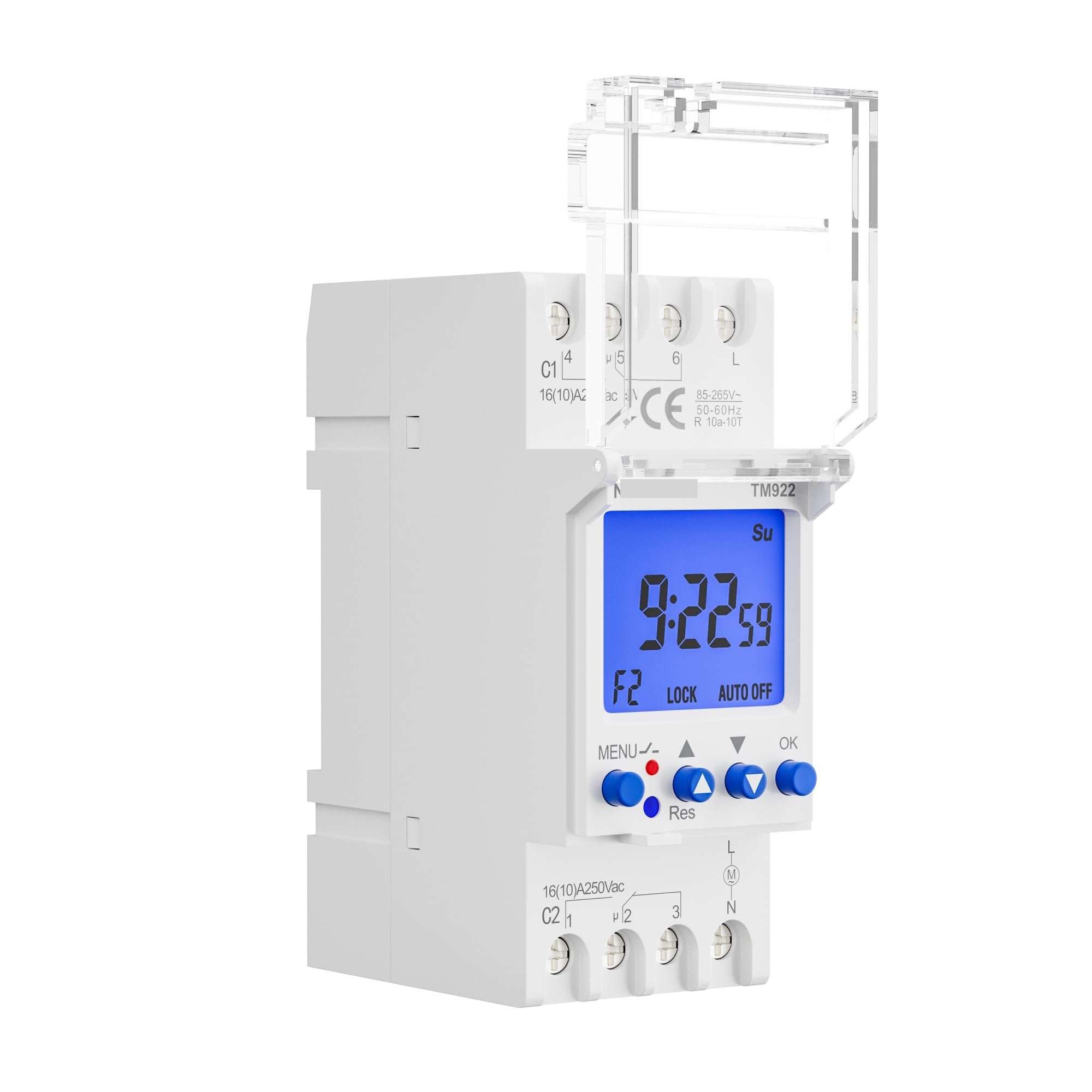 Alimentazione in ingresso 12VDC 2 canali Display LCD grande Orologio programmabile 24 ore su 24 con due uscite indipendenti a relè 1 pz (Color : Input Power 12VDC)