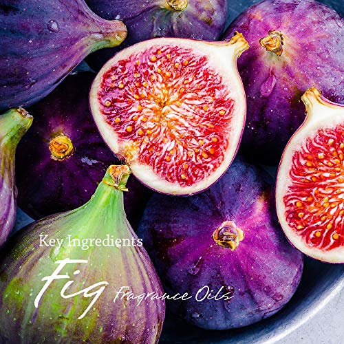 Viois, Tropical Punch Aromatherapy Car Air Freshener(Gel Type). Handcrafted Natural Air Freshener For Car, Bedroom, Bathroom & Office. Chemical Free & Non Toxic. (2 Pack) #TOP5