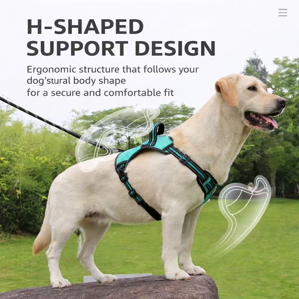 PawWave No Pull Dog Harness with Zipper Poop Bag Pocket – Control Handle, Soft Padded Reflective Vest for Medium & Large Dogs (Black, Large)
