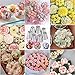 Suuker Russian Piping Tips Set, Stainless Steel Cupcake Flower Shaped Frosting Nozzle Kit, Kitchen Gadgets For Pastry Cupcakes Cakes Cookies Decorating (7 Pieces)