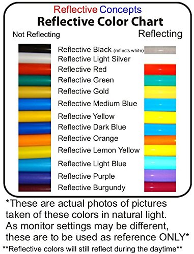 Ram Air Decal (Pair) - (Color: Reflective Light Silver) #TOP5