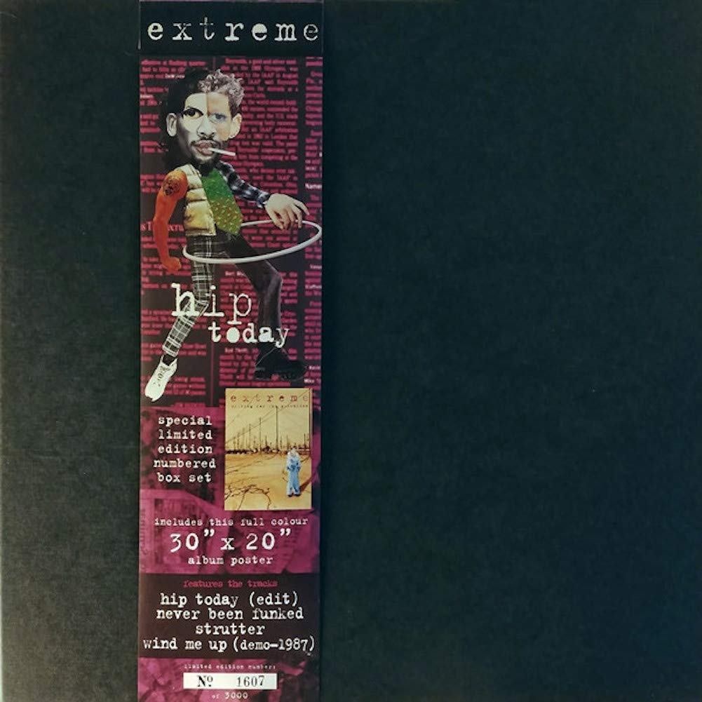 HIP TODAY 12 INCH (12" SINGLE) UK A&M 1995