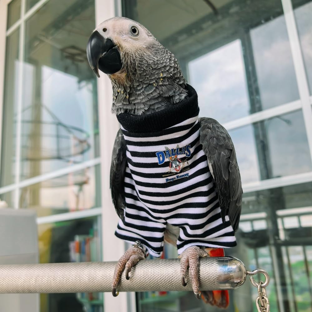 Parrot Supplies, Lightweight Flight Suit for Birds, Parrot Restraint Supplies, Comfortable and Warm, Suitable for Green cheeked Parakeets, Sun con, Monk Parakeets (5XL)