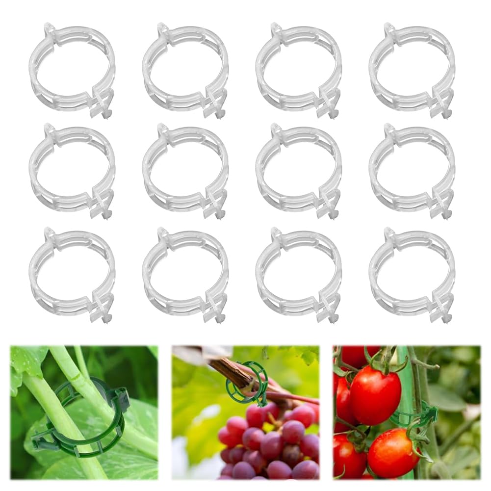 100 clips de soporte para plantas trepadoras, clips de enrejado de plástico reutilizables para tomate, vid de uva, verduras, clips de fijación de jardín (150, blanco)