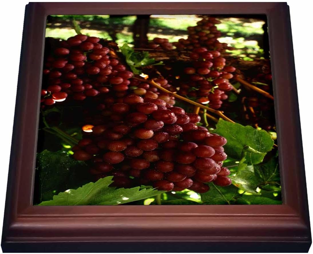 3dRose Trivet with Tile, 8 by 8-Inch, Brown