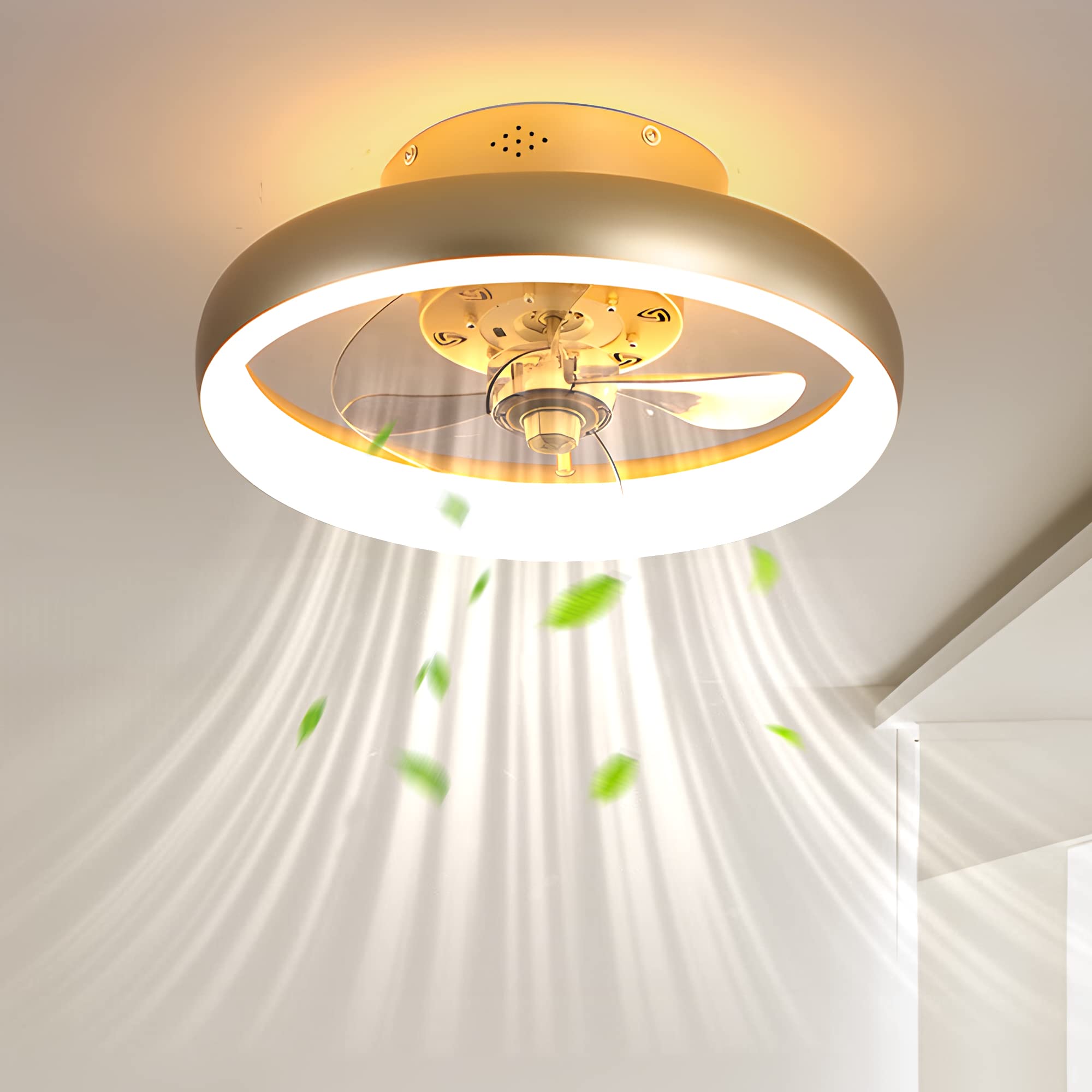 Photo 1 of *NEW* TOZING Ceiling Fans with Lights, 15.7 Inch Small Ceiling Fan with Reversible Fan Blades,Lighting & Ceiling Fans with Remote Control and APP for Low Profile Bedroom