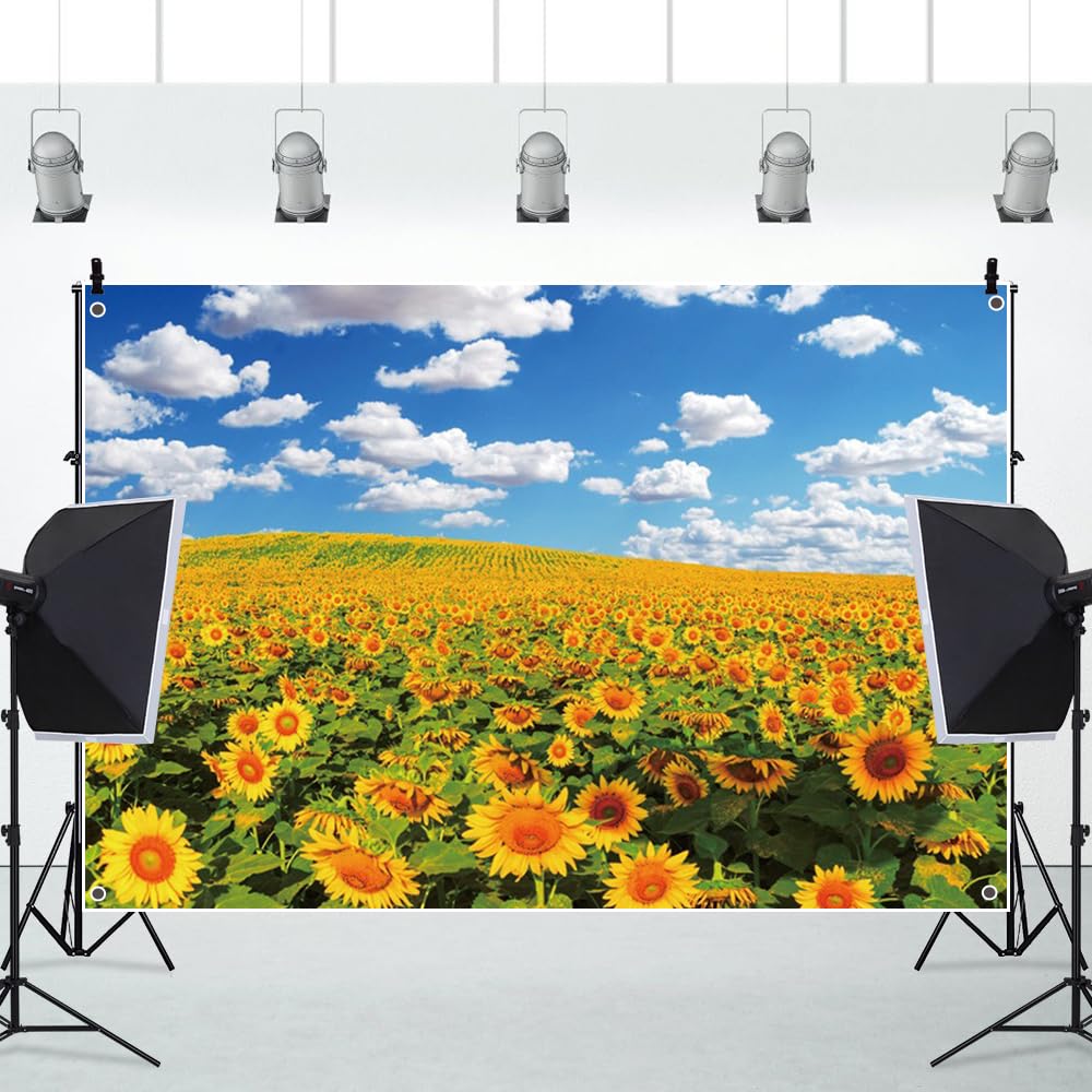 Amazon | Qinunipoto ひまわり 背景布 夏の風景撮影布 1.5x1m 夏の花