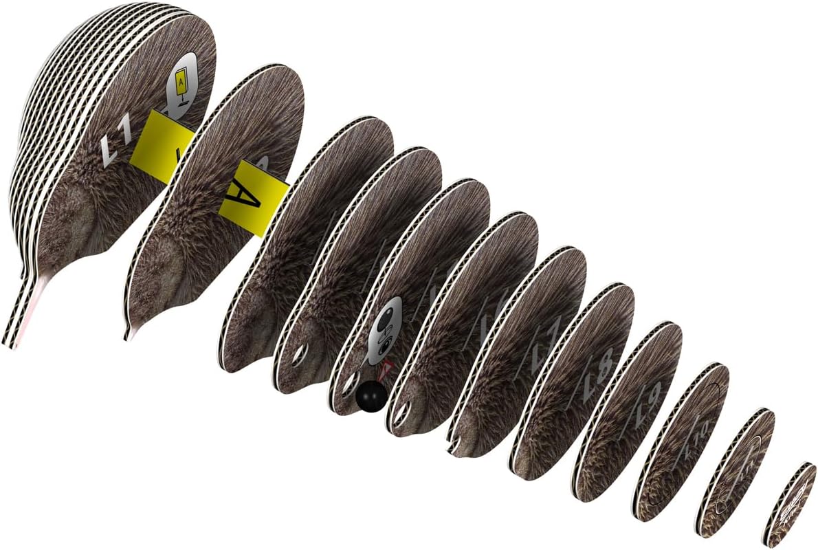 EUGY 001 Kiwi Eco-Friendly 3D Paper Puzzle