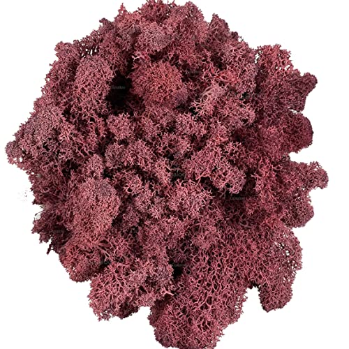 Gusaloo Moss Preserved Artificial Moss - Natural Fresh Green for Craft, Arts, Floral Projects, Wall & Table Decor, Wedding Centerpieces, Garden Terrariums - Dark Pink, 3.5OZ