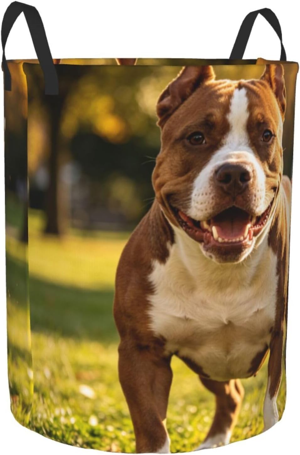 Laundry Hamper Waterproof Storage Bin Organizer with Handles Pitbull Dogs Laundry Basket Collapsible Dirty Clothes Hamper Large Clothes Storage Toy Organization for Bathroom Bedroom Medium