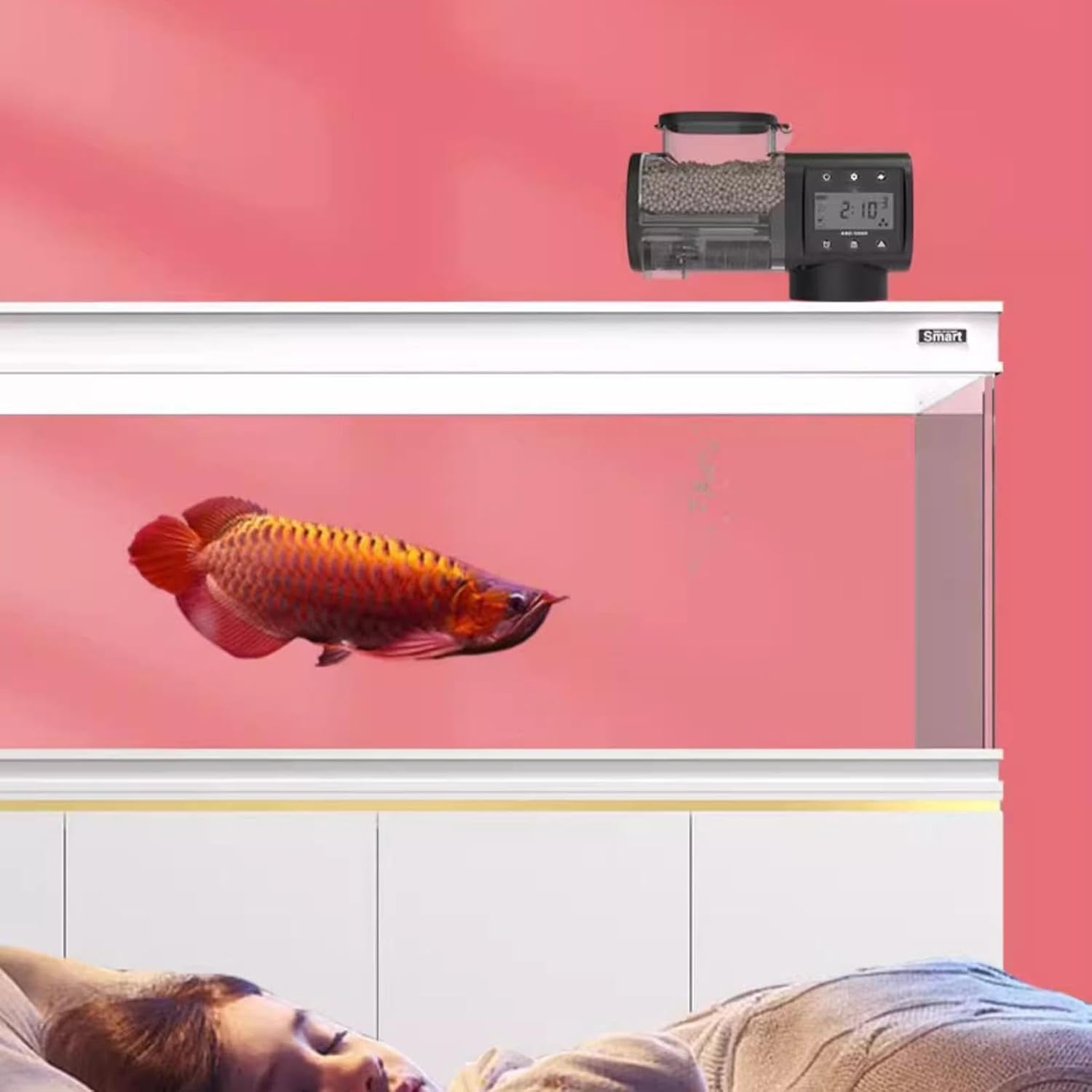 Qoo10] 水槽用 自動餌やり機 魚 給餌器 エサ Qialexicon タイマー付き