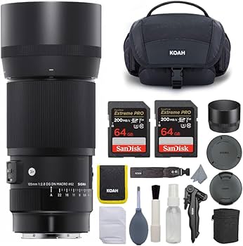 Amazon.com : Sigma 105mm f/2.8 Art DG DN Macro Lens for Sony