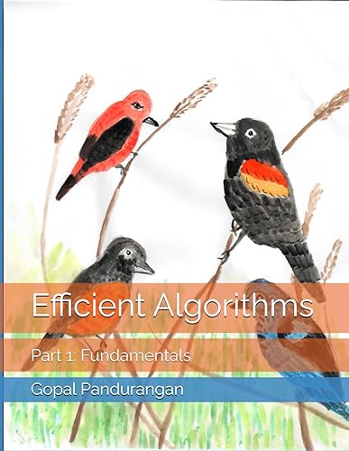 Efficient Algorithms: Part 1: Fundamentals