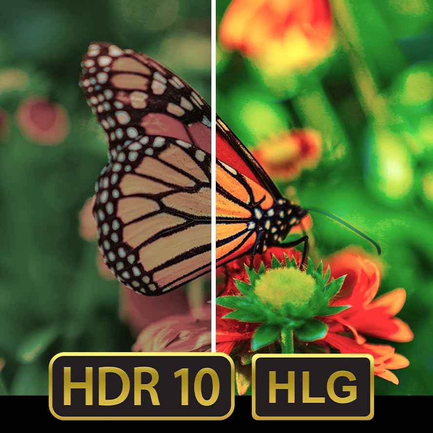Image showing a butterfly with 'HDR 10' and 'HLG' logos, indicating enhanced contrast and brightness