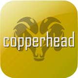 Dodge Copperhead