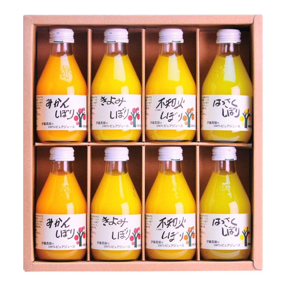 アイティー農園出品※ オレンジピタヤ10株セット アイティー アイティー農園出品※ オレンジピタヤ10株セット アイティー