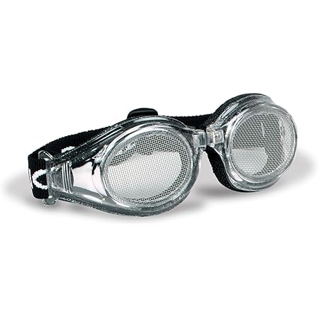 bugz ski goggles