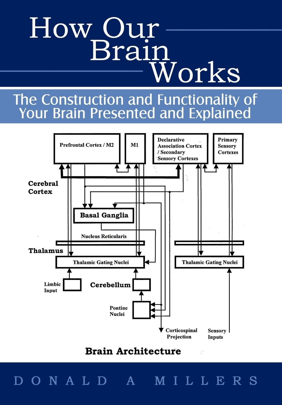 How Our Brain Works: The Construction and Functionality of Your Brain Presented and Explained