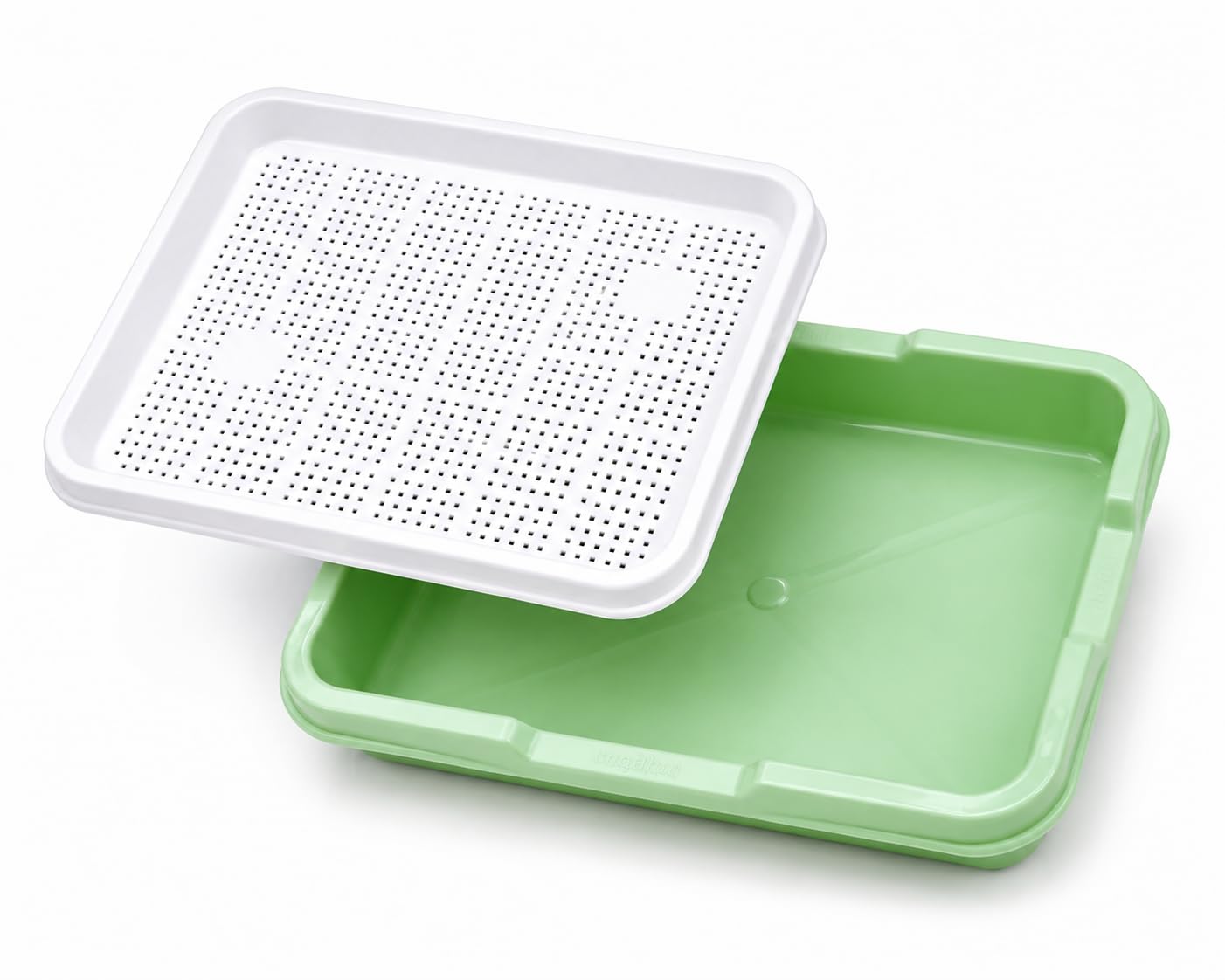 Microgreens Growing Tray | Soil-Free Sprouting Kit with Breathable Perforated Tray & Deep Base | Seed Germination Trays for Wheatgrass, Sprouts, Vegetables, Indoor Gardening (3, Set of 3)-image-9