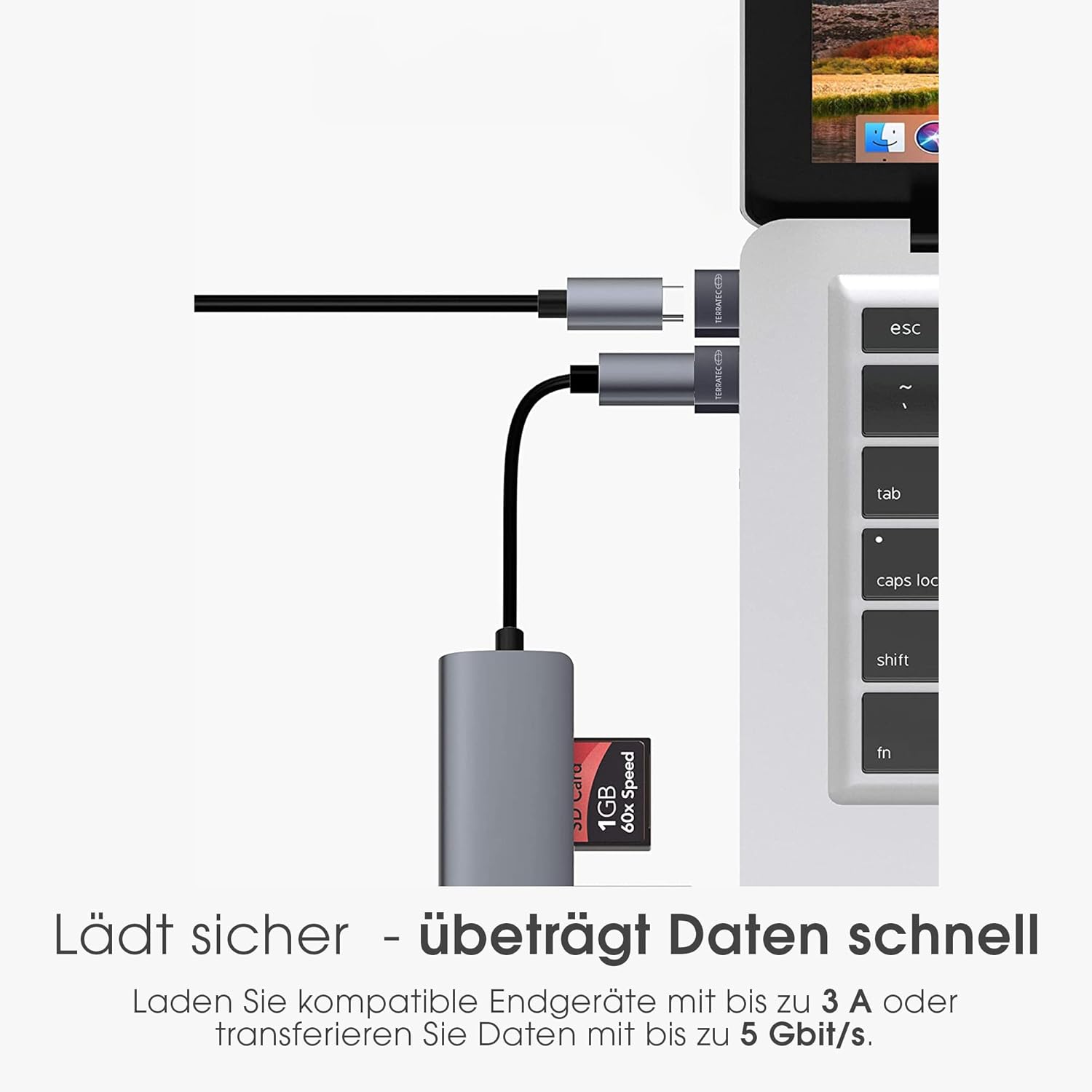 C20 USB C Female to USB Male Adapter (3 Pack), USB C to USB 3.0 Adapter Compatible with AirPods 3, iPad Mini 6/iPad Air 4, iPhone 13/12 Pro Max, Apple Watch Series 7, Galaxy S20 etc